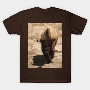 Plains Trekking - American Buffalo T-Shirt